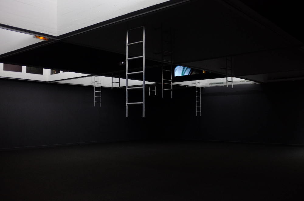 vue du plafond de la galerie avec photos et vidéos