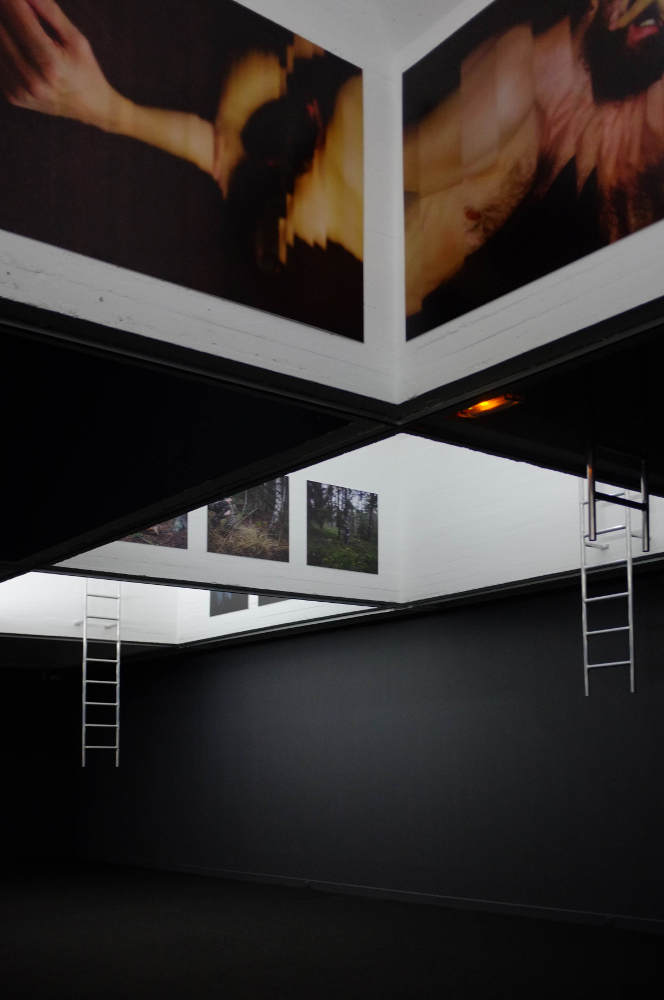 vue du plafond de la galerie avec photos et vidéos