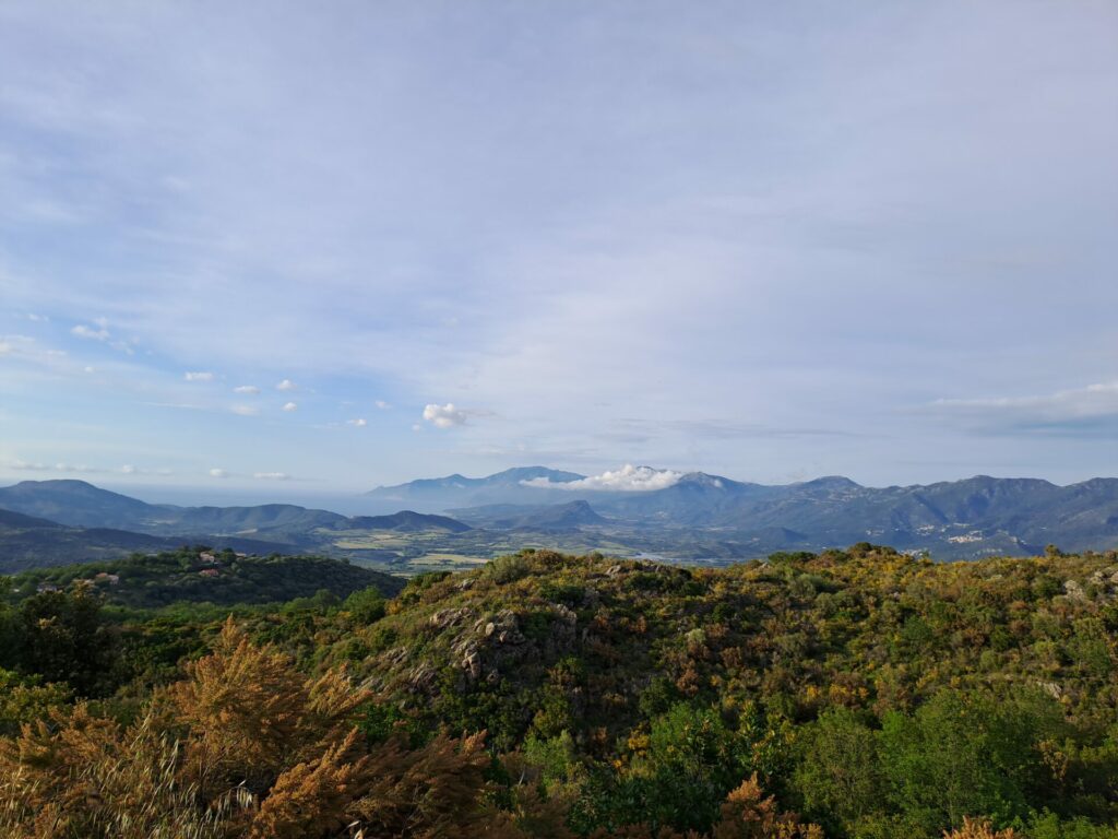 Vue de paysage maquis et montagnes