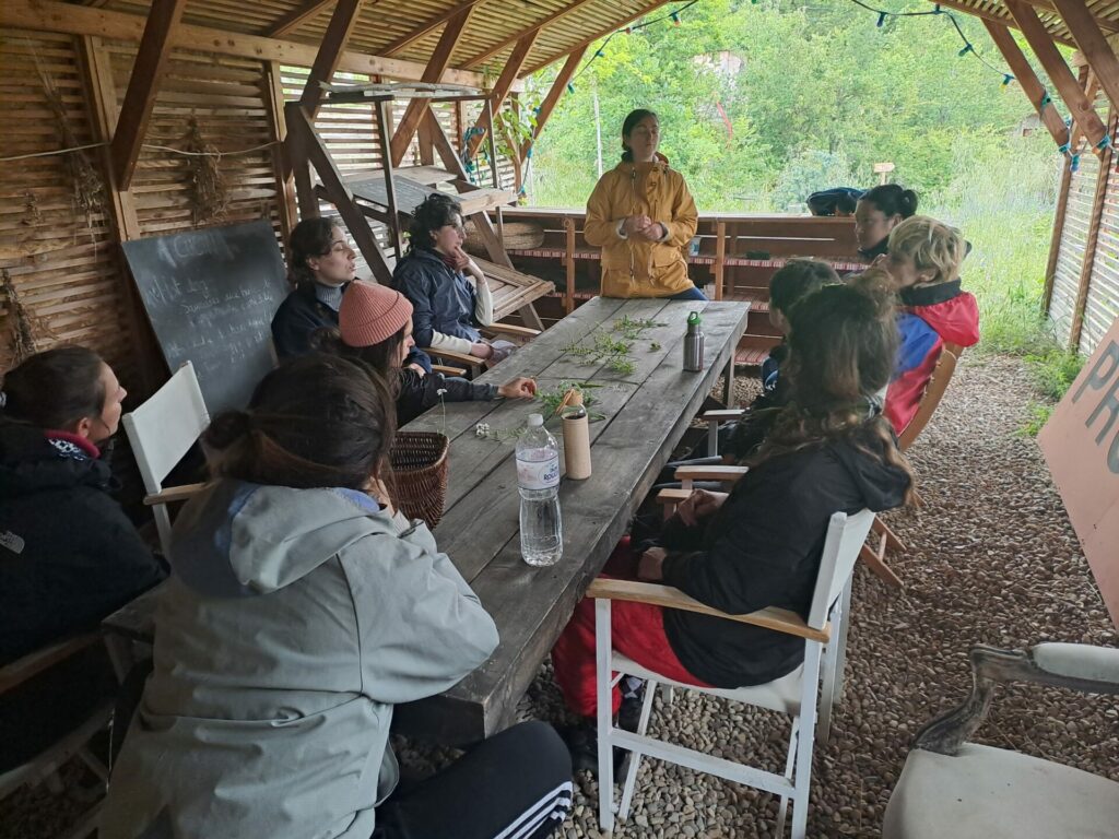 Présentation de plantes du maquis sur une table