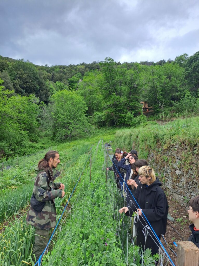 Un jardin en permaculture