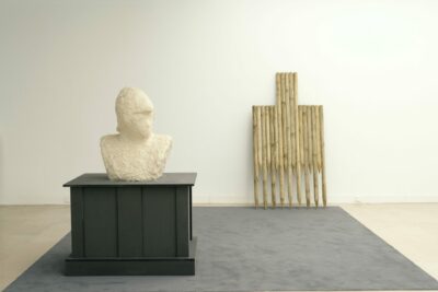 buste en plâtre et peigne en bambou.