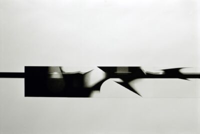 Feuille disposé en frise sur tout le long des murs, images photographique abstraite, noir et blanc
