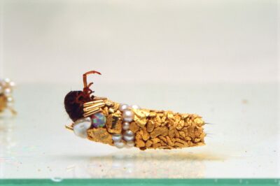 or, perles, turquoises, pierres précieuses
