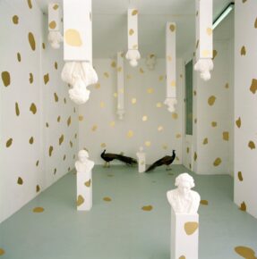 installation avec paons, bustes en plâtre, socles en bois peint, vinyle adhésif doré