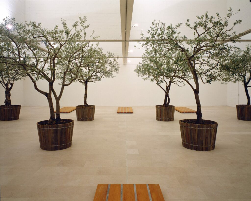 installation : 8 oliviers en bacs, 6 gisants en bois et plomb