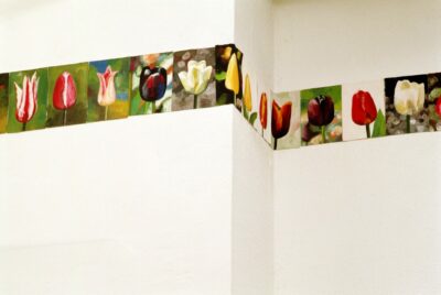 acrylique sur papier, fleurs tulipes