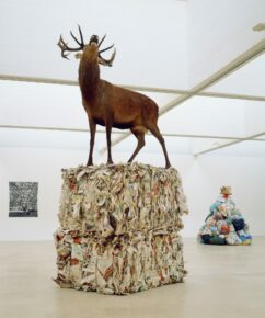 cerf naturalisé, papier, fer