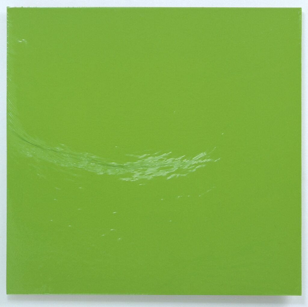 laque sur bois vert