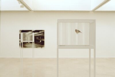 installation composée par : a) 9 cages d'oiseau en métal laqué, b) 5 plaques de plexi imprimées en 1 couleur en vitrauphanie recouvertes de vernis