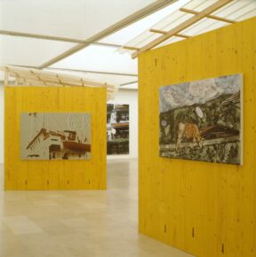 traitement image géante (procédé Calsi), technique mixte