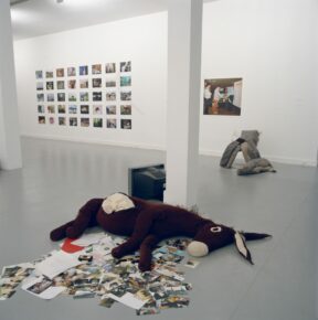 Vue de l'exposition The Travelling Donkeys, Stephen Wilks, 2005, crédits photo : Jean Brasille
