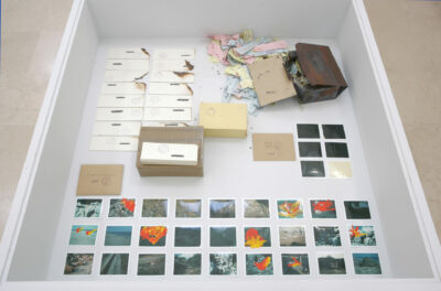 boîte carton peint contenant des bandes de papier bleu rose ou jaune,écritures, encre, tampon