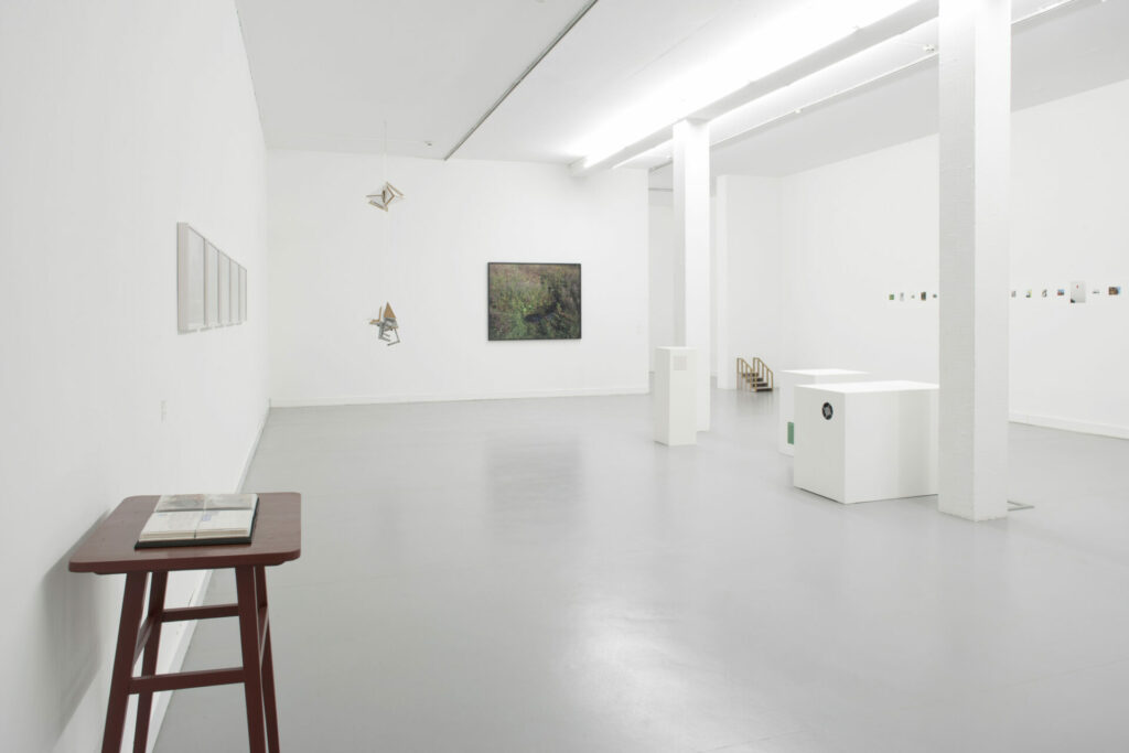Vue de l'exposition avec 6 oeuvres installation, peintures, livres